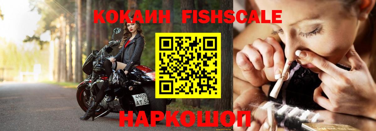 COCAIN Эквадор  где найти наркотики  Елизово  Вход с VPN  Cocaine 99% 
