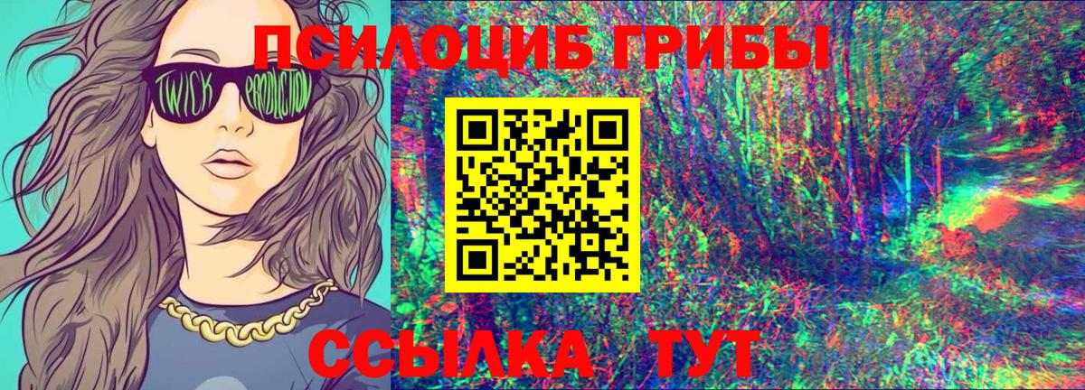 купить наркотики цена  Псилоцибиновые грибы Psilocybe  Вход с VPN  Елизово 
