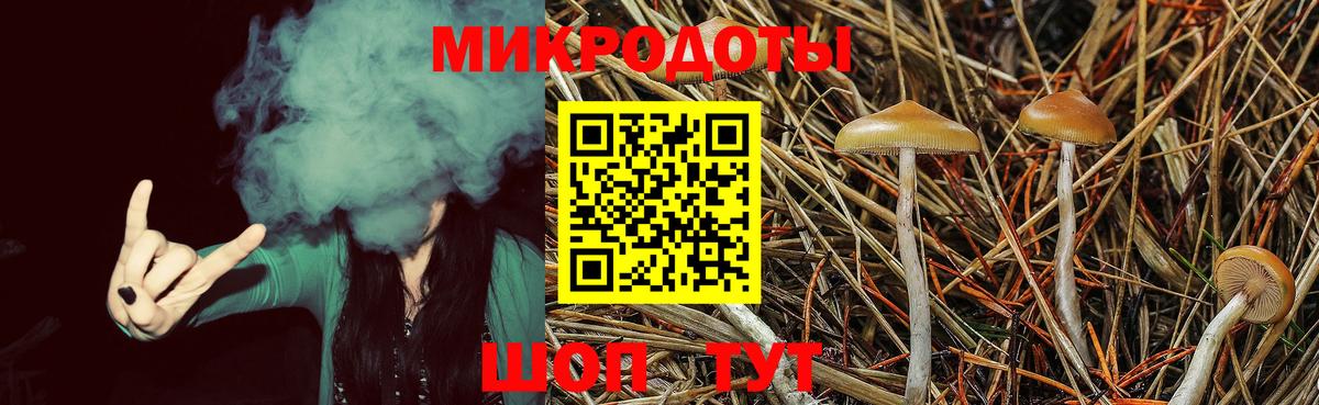 Галлюциногенные грибы MAGIC MUSHROOMS Елизово