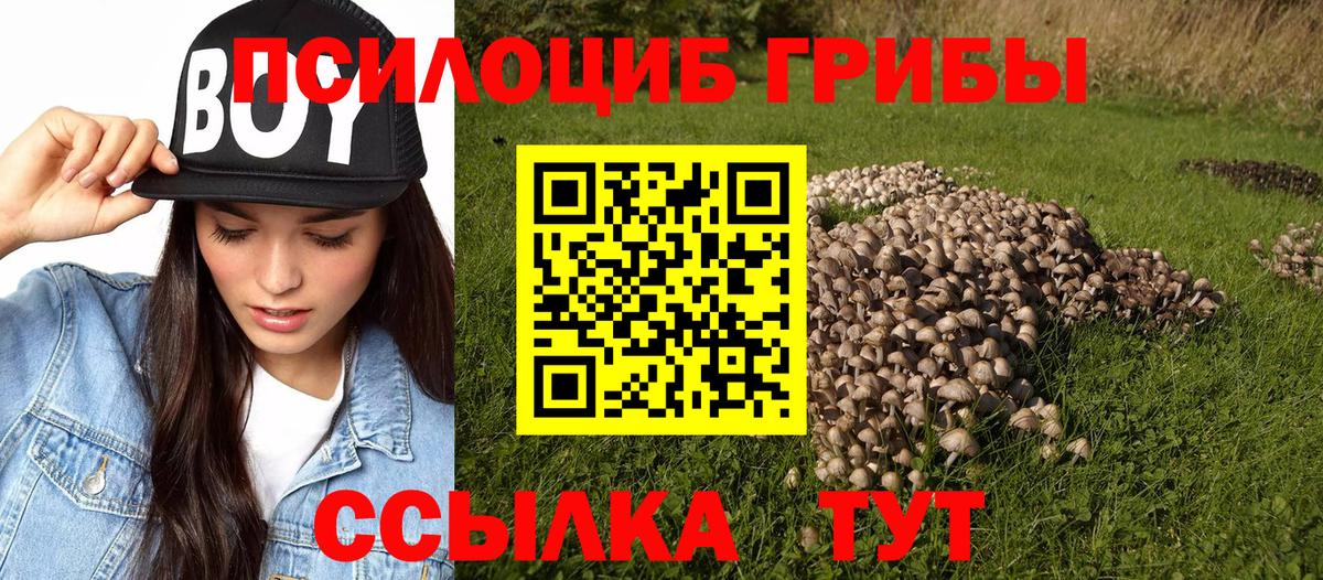 Псилоцибиновые грибы MAGIC MUSHROOMS Елизово